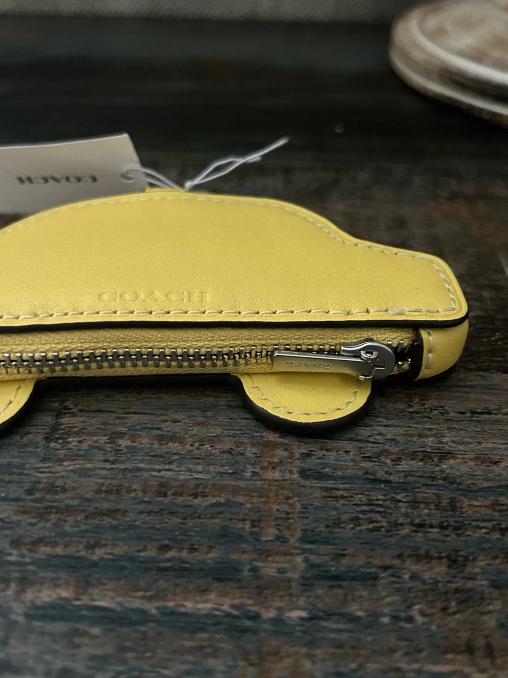 Coach playful taxi